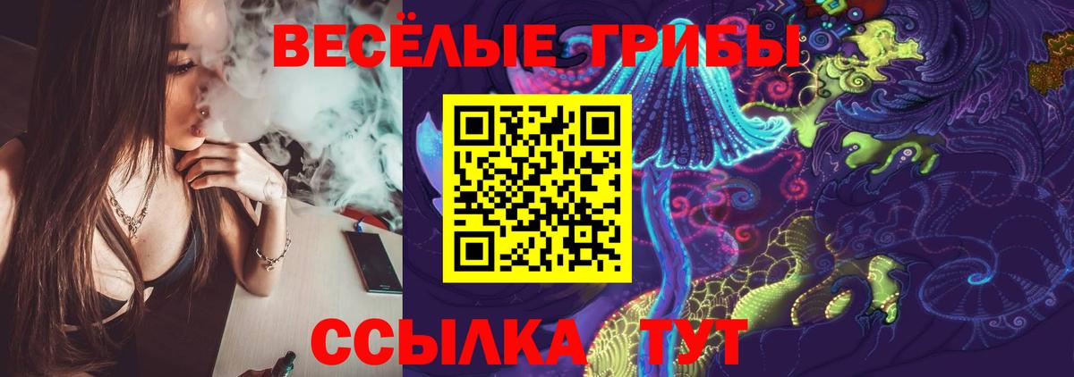 Кулебаки  Галлюциногенные грибы Psilocybine cubensis  дарнет шоп  Вход с VPN 